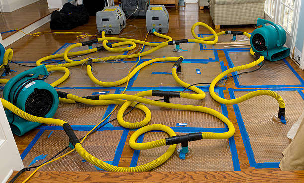 Professional Crawl Space Water Removal technician working in Long Lake, IL